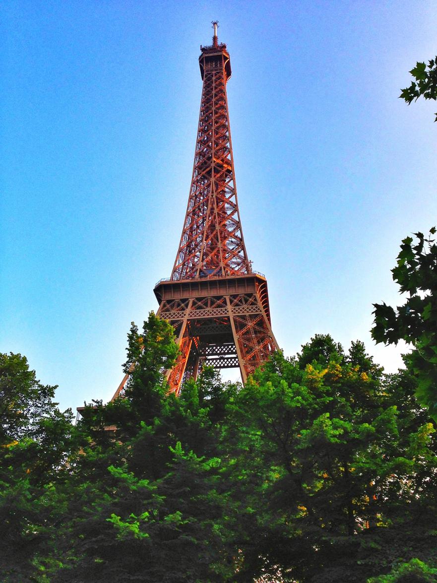 france week 11