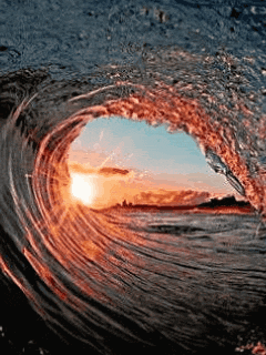 IMG_8838.GIF