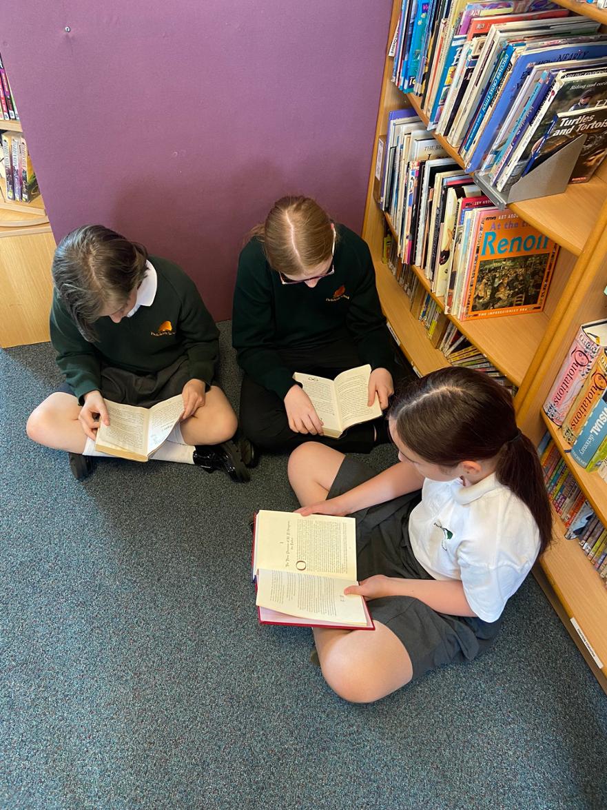 Library 4.jpg
