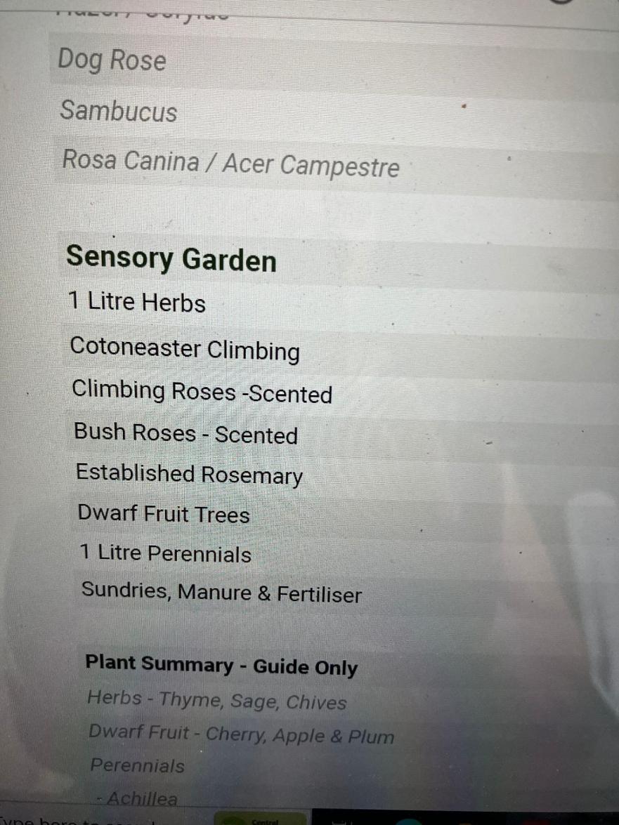 Plants for sensory garden