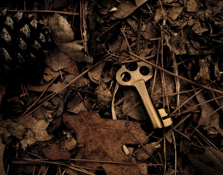lost property.jpg